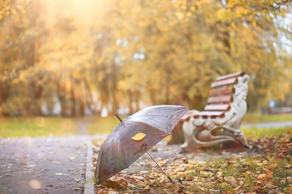 Sfondo autunnale nel parco — Foto Stock