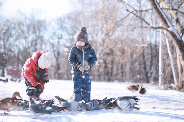 I bambini nutrono gli uccelli nel parco — Foto Stock