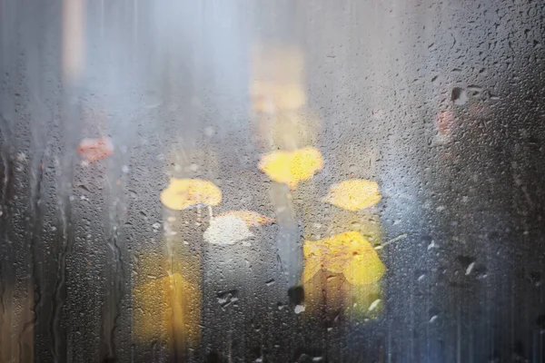 Sfondo autunno pioggia nel parco — Foto Stock