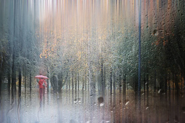 Background autumn rain in the park — Stock Photo, Image