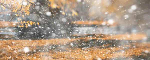 Hintergrund Herbst Park im ersten Schnee — Stockfoto