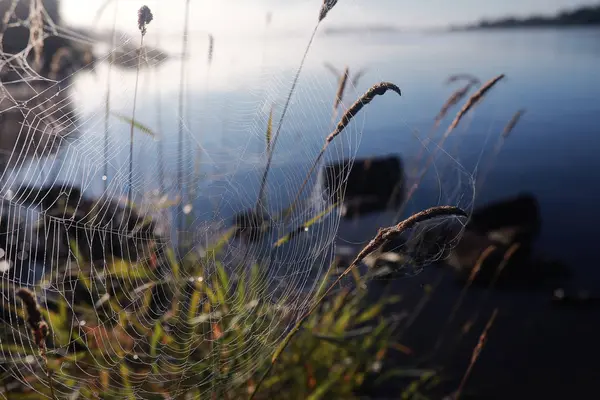 Niebla en el lago. Mañana naturaleza agua niebla blanca . — Foto de Stock