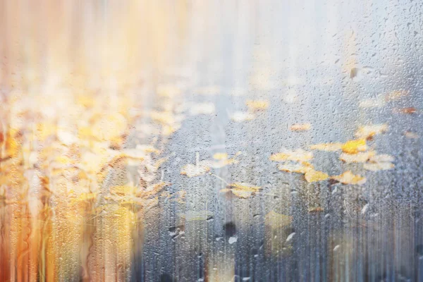 Fundo Outono chuva no parque — Fotografia de Stock