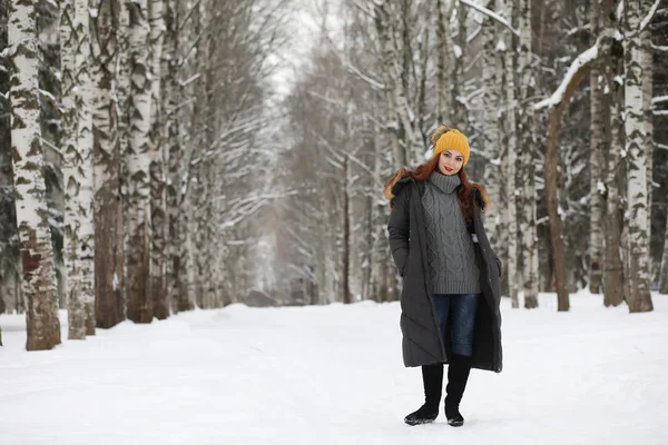 Krásná dívka v krásné zimní park — Stock fotografie
