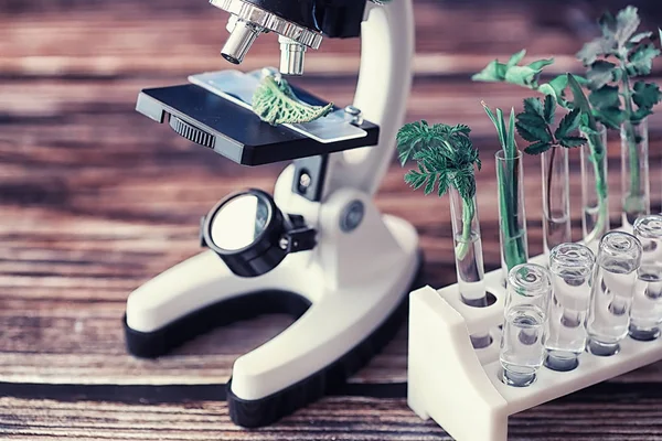 Mikroskop Poprzecinki Stole Laboratorium Badanie Temat Gmo Zielonych — Zdjęcie stockowe