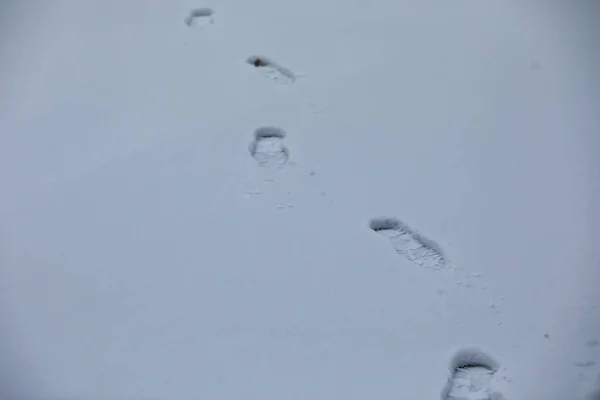 Winterlandschaft aus Feldern und Straßen — Stockfoto