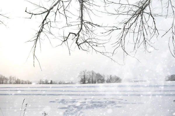 Winter landscape of country fields and roads — Stock Photo, Image