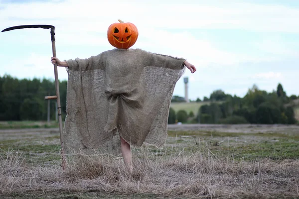 Scarecrow pumpkin head in a field — Stock Photo, Image