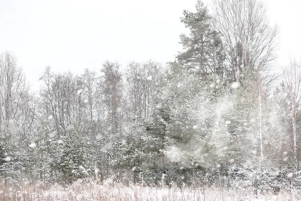 Paisagem de inverno de campos de país e estradas — Fotografia de Stock