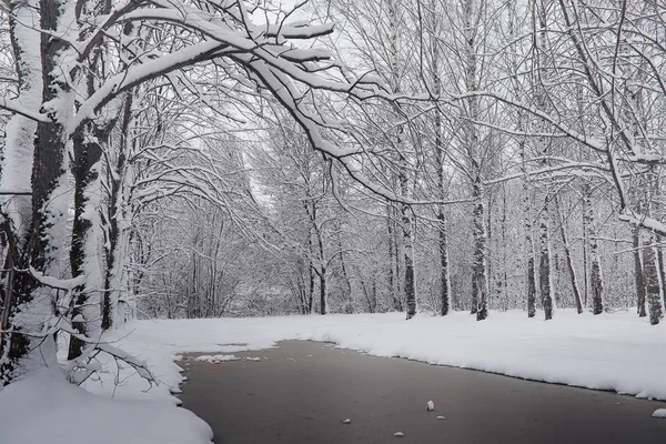 Karla kaplı Kış park ve banklar. Park ve beslenme için pier 