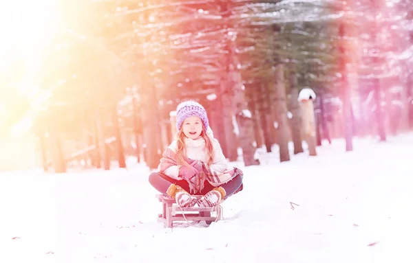 A winter fairy tale, a young mother and her daughter ride a sled — Stock Photo, Image