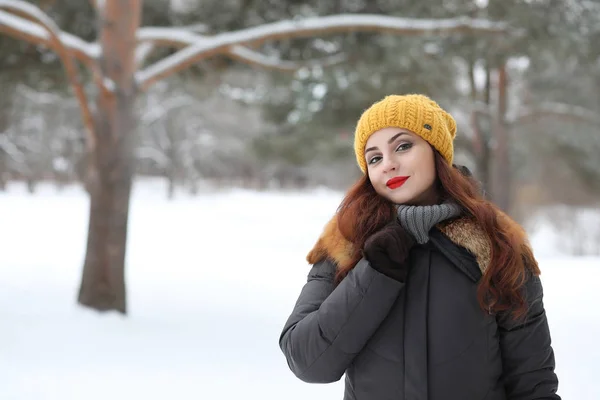 Belle fille dans un beau parc d'hiver — Photo