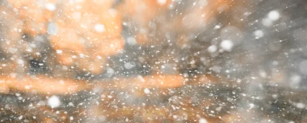 Fondo parque de otoño en la primera nieve — Foto de Stock