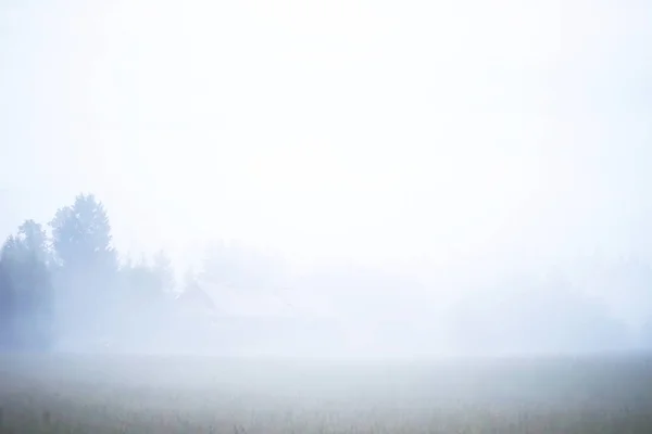 Nebel auf dem Feld. Abend Natur Sommer mit weißem Nebel. — Stockfoto