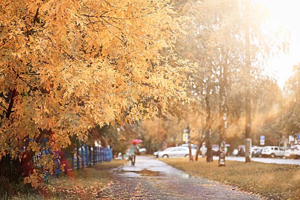 parkta sonbahar yağmur