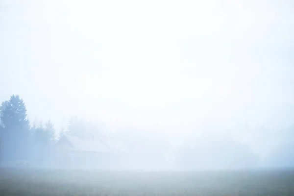 Fog in the field. Evening nature summer with white fog.