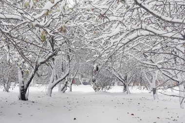 Karla kaplı Kış park ve banklar. Park ve beslenme için pier 