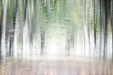 Yağmurlu bir günde sonbahar parkının bulanık görüntüsü 