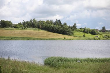 Yatay yaz mevsimindeyiz. Yeşil ağaç ve otların arasında kırsal arazi