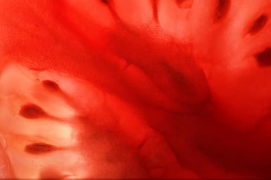 Kırmızı domates tohumları doku ile ikiye böldüm