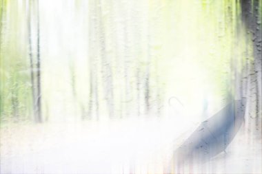 Yağmurlu bir günde sonbahar parkında yol üzerindeki şemsiyeyi bulanık görmek 