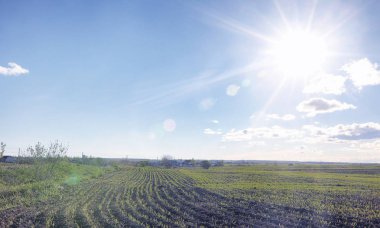 Yatay yaz mevsimindeyiz. Yeşil ağaç ve otların arasında kırsal arazi