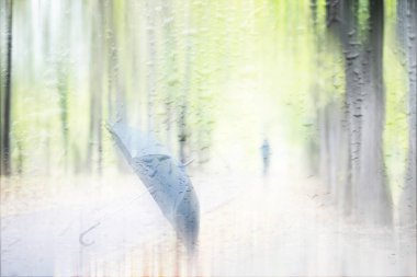 Parkta arka plan bahar yağmuru