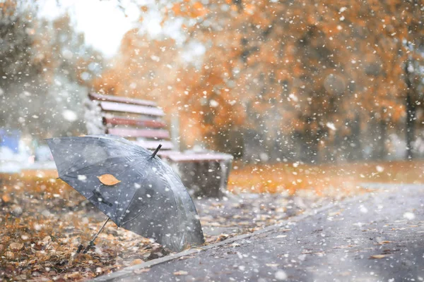 Efterårsparken i den første sne - Stock-foto