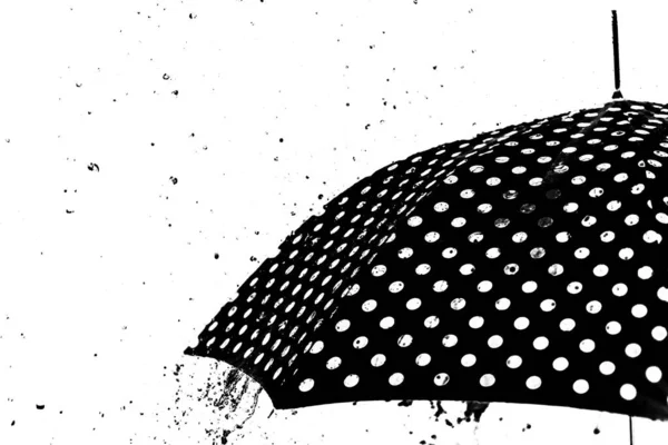 rain drop umbrella isolated