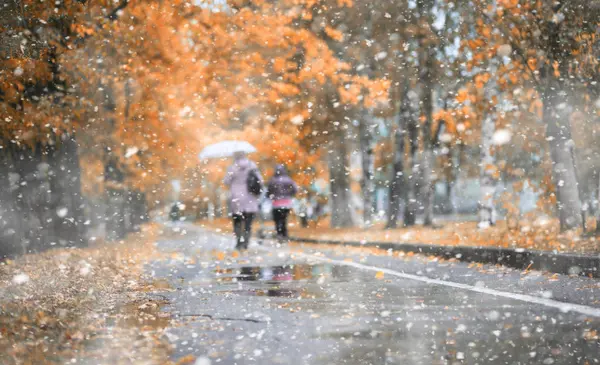 初雪の秋の公園 — ストック写真