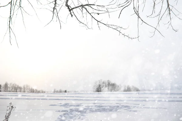 Зимовий пейзаж сільських полів і доріг — стокове фото