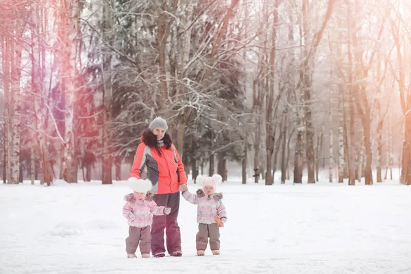 I bambini camminano nel parco in inverno. Foresta invernale una famiglia con — Foto Stock