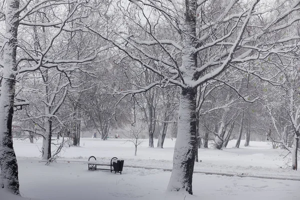 Pokryte śniegiem zima park i ławki. Park i molo do karmienia — Zdjęcie stockowe
