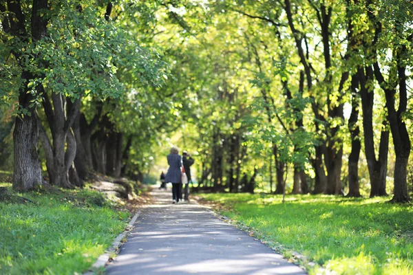 End of summer season in the park — Stock Photo, Image