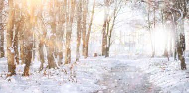 Winter Park 'ta. Karlı havada manzara manzarası. Ocak.