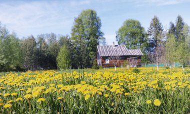 Yatay yaz mevsimindeyiz. Yeşil ağaç ve otların arasında kırsal arazi