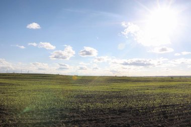 Yatay yaz mevsimindeyiz. Yeşil ağaç ve otların arasında kırsal arazi