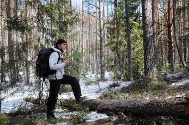 Bir turist bir çam ormanı ile bir sırt çantası içinde bir adamdır. A tr hiking