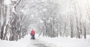 Karla kaplı Kış park ve banklar. Park ve beslenme için pier 