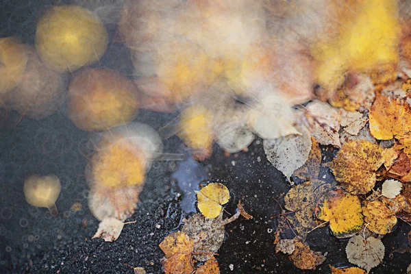 Podzimní déšť poza v parku — Stock fotografie