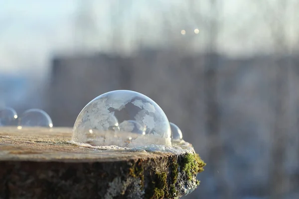 Las burbujas de jabón se congelan en el frío. Invierno agua jabonosa se congela en t — Foto de Stock