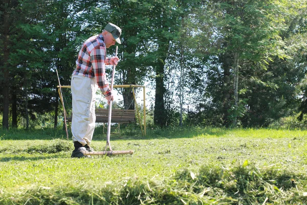 Pulizia Erba Foglie Con Rastrello Lontano — Foto Stock