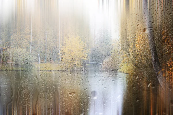 De herfst regen achtergrond in het park — Stockfoto