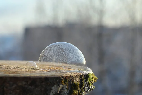 Мыльные пузыри замерзают на холоде. Зимняя мыльная вода замерзает в т — стоковое фото