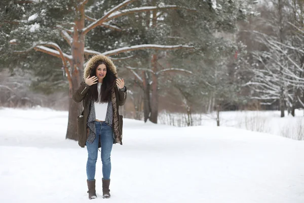 아름 다운 겨울 공원에서 아름 다운 소녀 — 스톡 사진