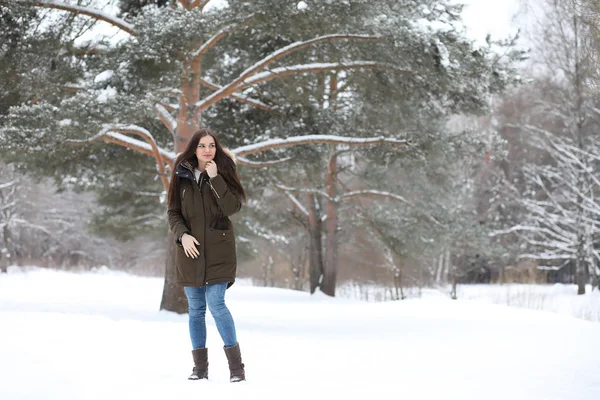 아름 다운 겨울 공원에서 아름 다운 소녀 — 스톡 사진