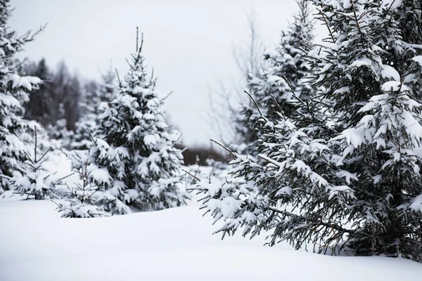 Landschaft im Winter bewölkt — Stockfoto