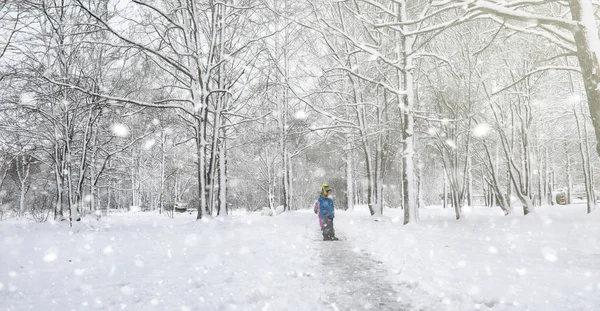 Kar altında kış parkı. Şehir parkında kar fırtınası. Park et!