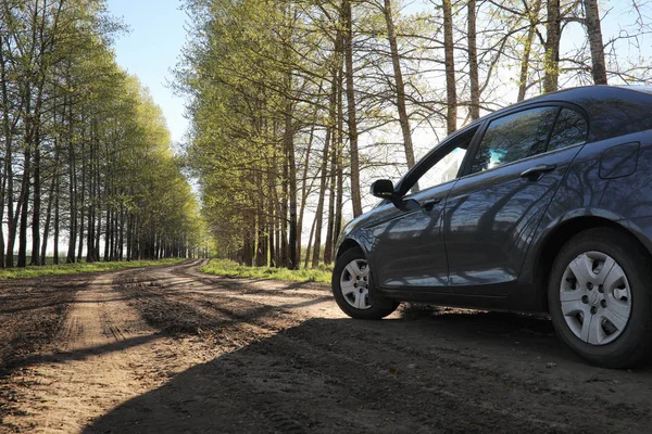 El paisaje es verano. Árboles verdes y hierba en una tierra rural — Foto de Stock