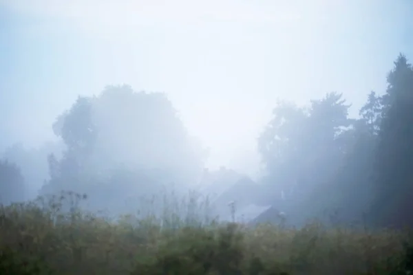 Fog in the field. Evening nature summer with white fog.